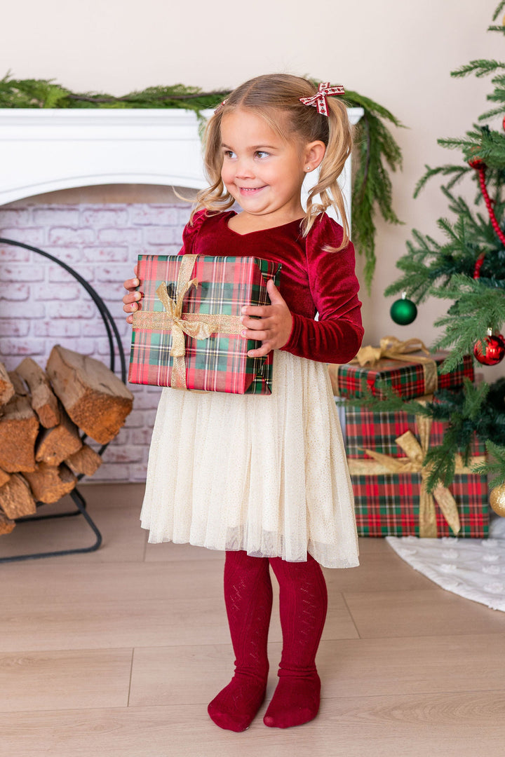 Noel Velvet Tutu Dress