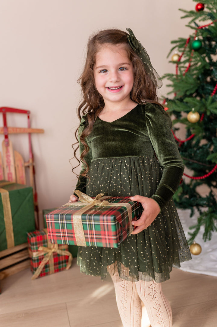 Noble Velvet Tutu Dress