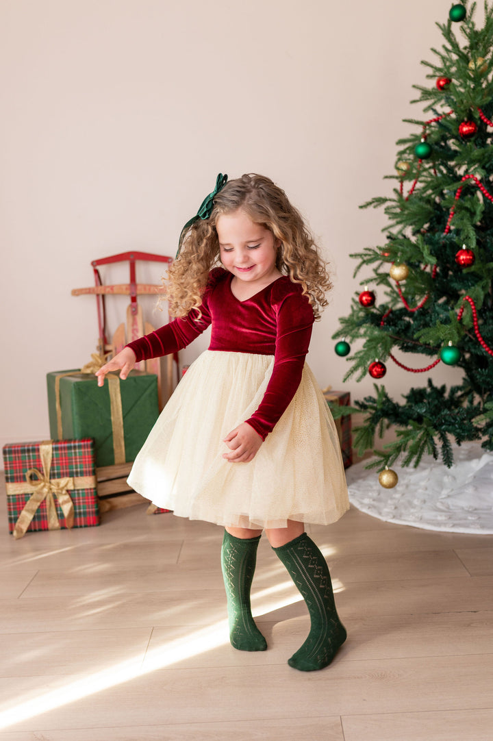 Noel Velvet Tutu Dress
