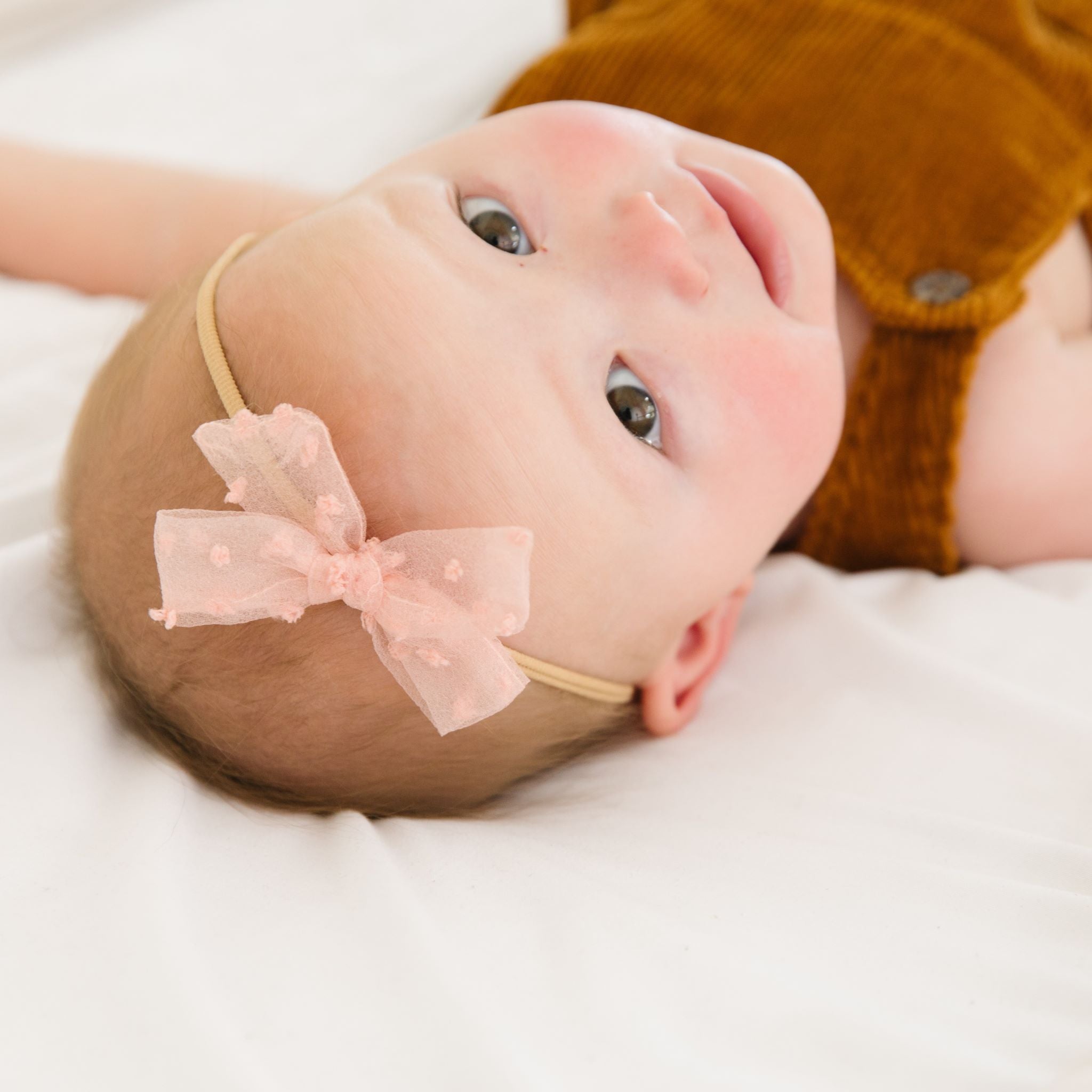 Baby Bow - Blush Pink Sheer Dot