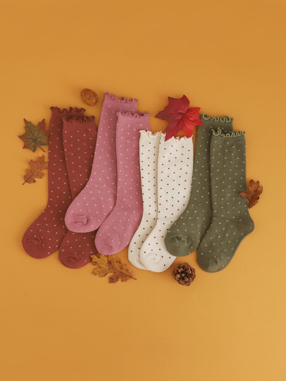 girls dottie lettuce trim knee socks in rust, old rose, vanilla and olive