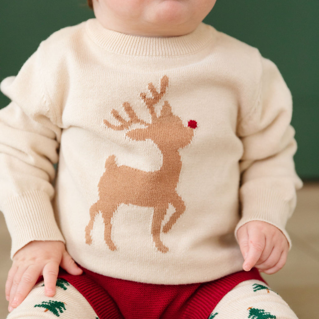 baby sitting in vanilla rudolph christmas sweater